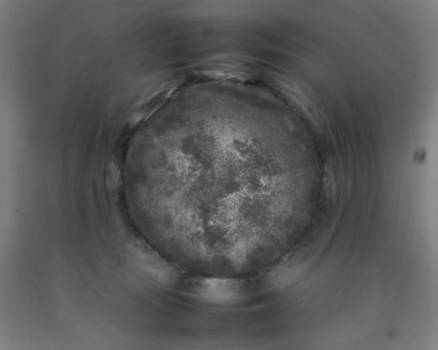 X0000092210371200709281028