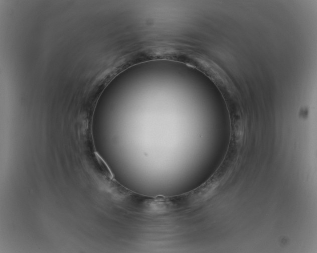 X0000092210372200709281028