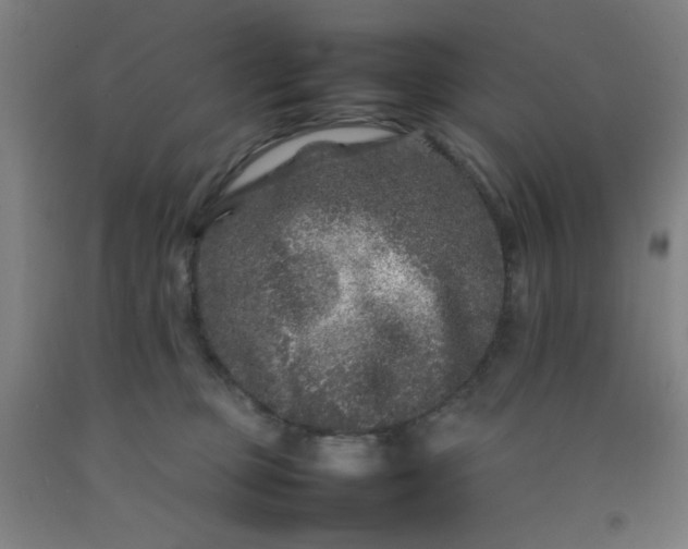 X0000092210373200709281028