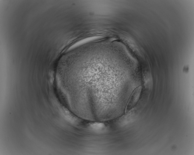 X0000092210374200709281028