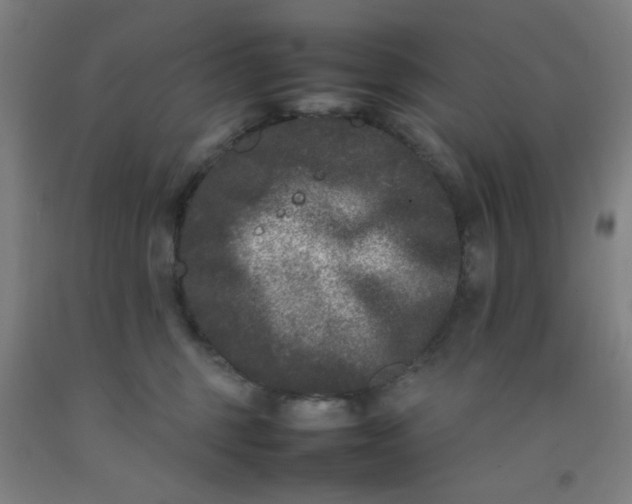 X0000092210375200709281028