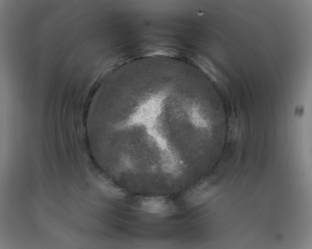 X0000092210377200709281028