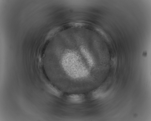 X0000092210381200709281028