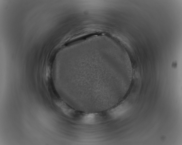 X0000092210382200709281028