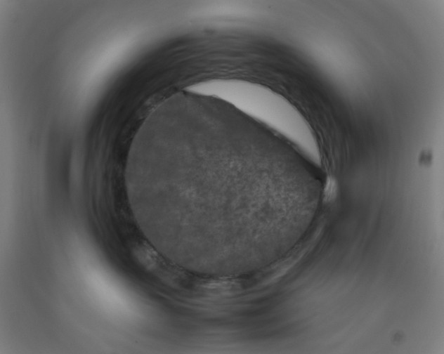 X0000092210383200709281028