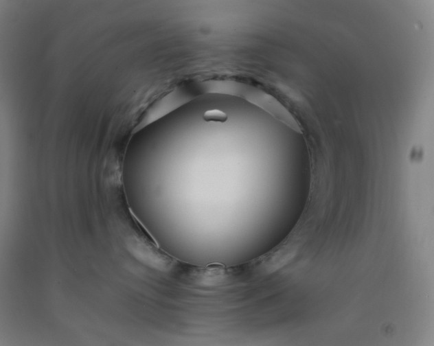 X0000092210384200709281028