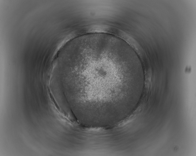 X0000092210386200709281028