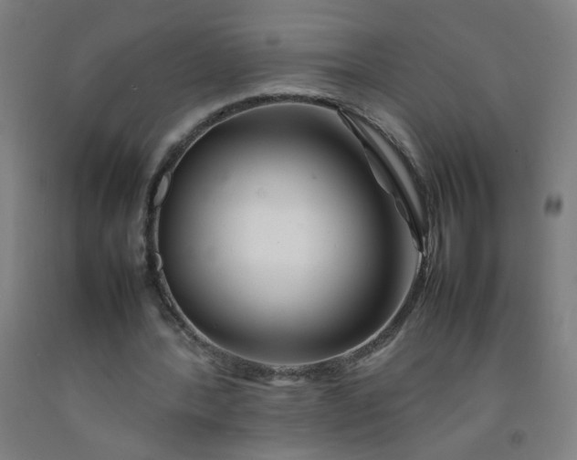 X0000092210388200709281027