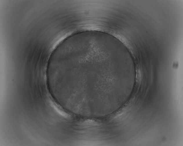 X0000092210390200709281027