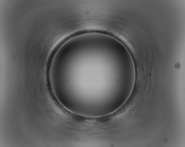 X0000092210391200709281027