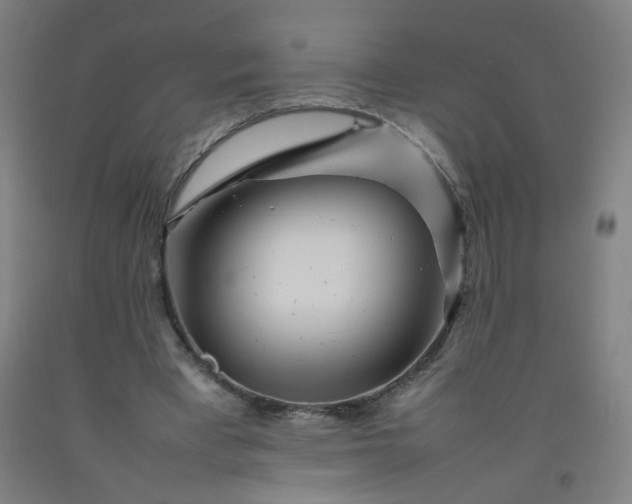 X0000092210393200709281027