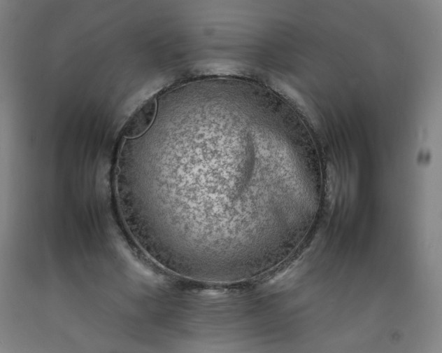 X0000092210394200709281027