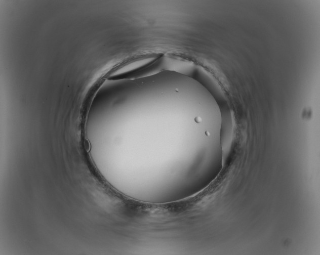 X0000092210395200709281027