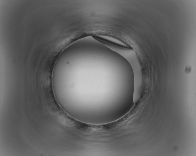 X0000092210401200709281027