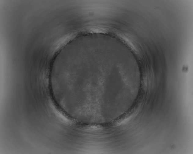 X0000092210402200709281027