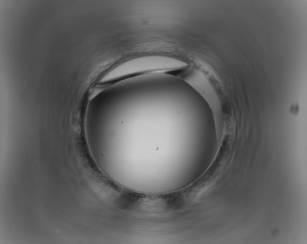 X0000092210403200709281027