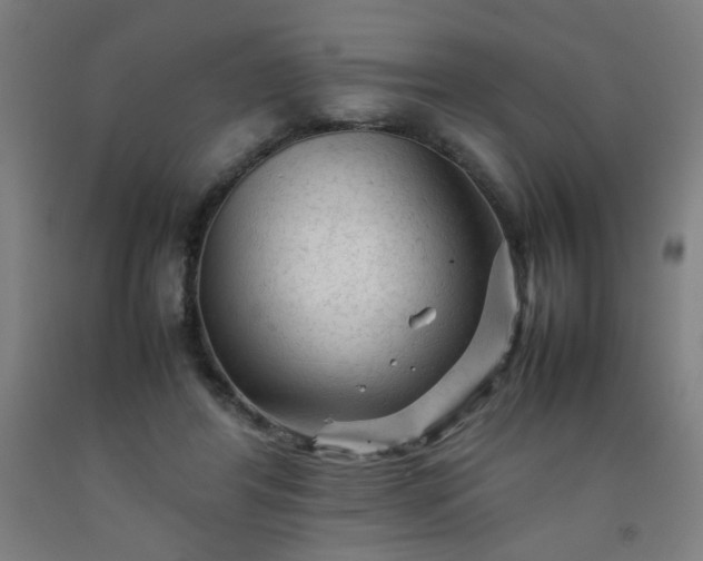 X0000092210404200709281027