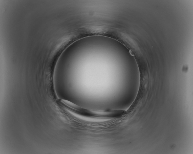 X0000092210407200709281027