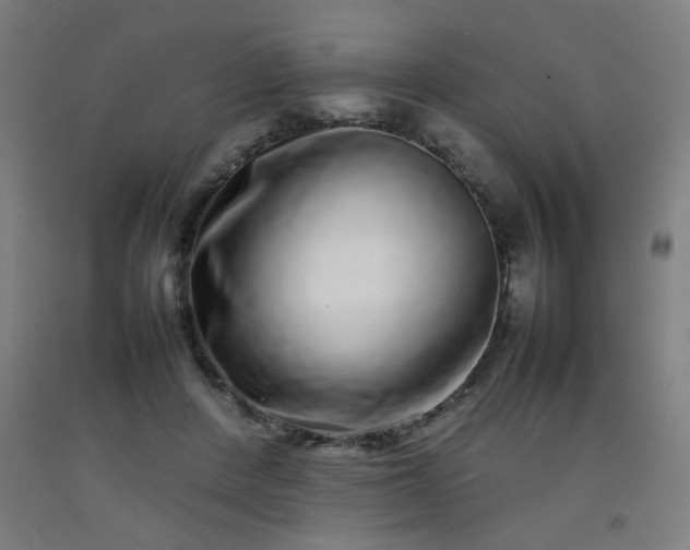 X0000092210408200709281027