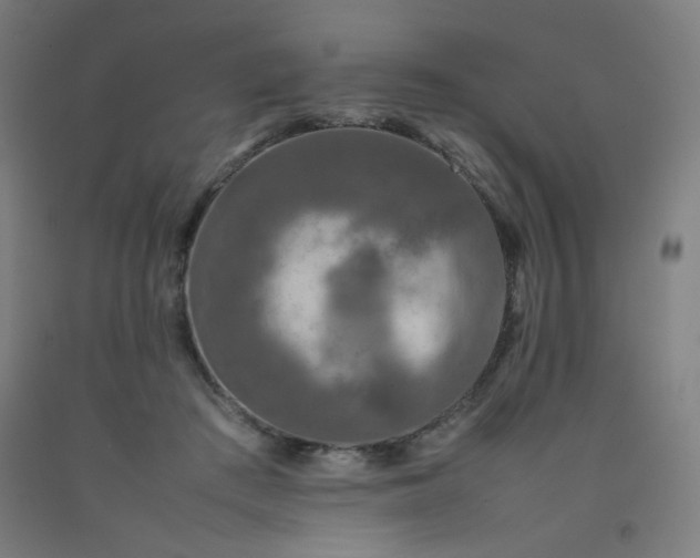 X0000092210409200709281027