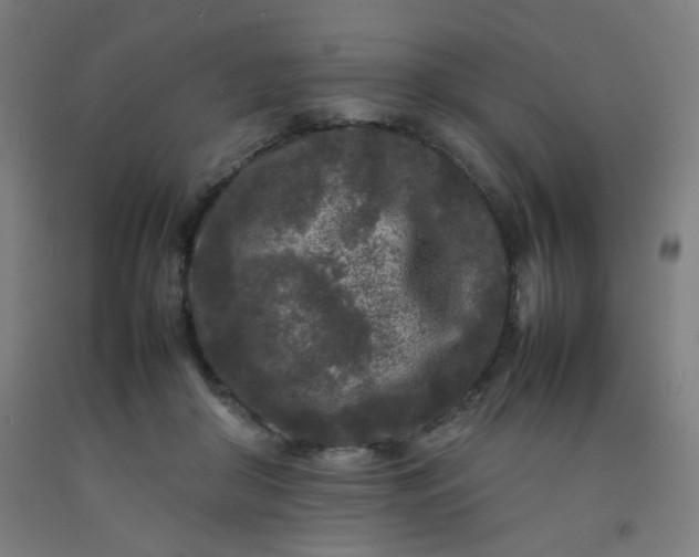 X0000092210410200709281027