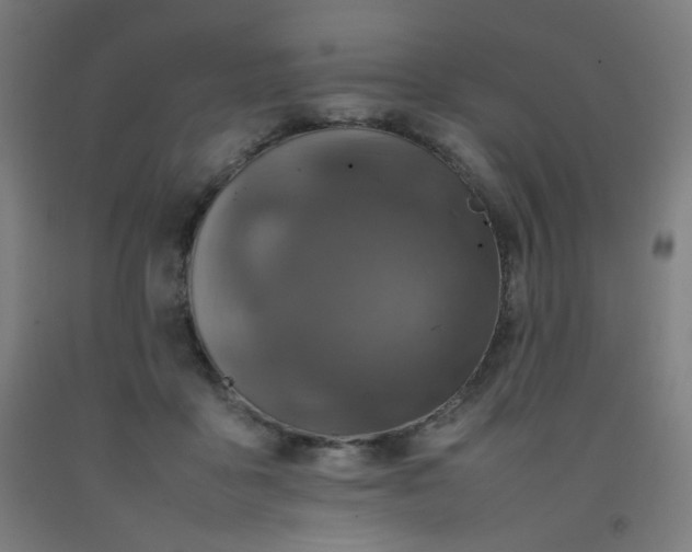 X0000092210411200709281027