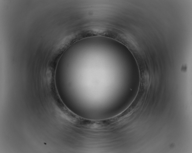 X0000092210412200709281027