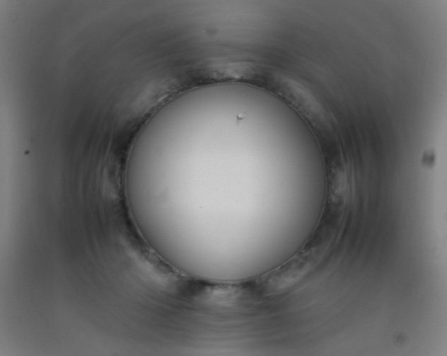 X0000092210414200709281027