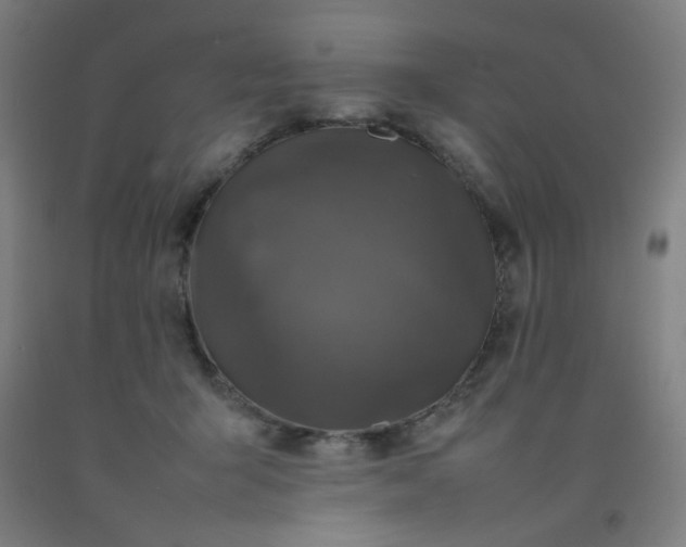 X0000092210415200709281027