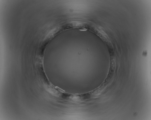 X0000092210419200709281027