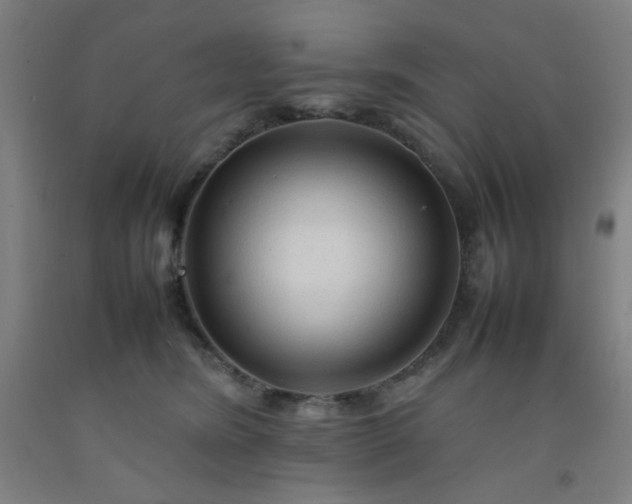 X0000092210420200709281027