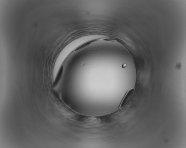 X0000092210421200709281027