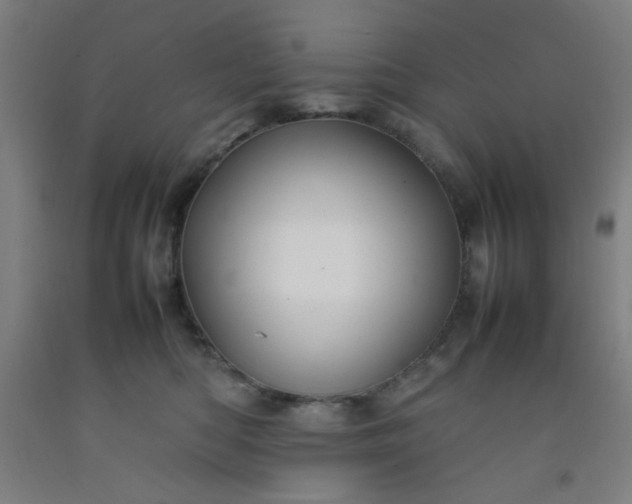 X0000092210422200709281027