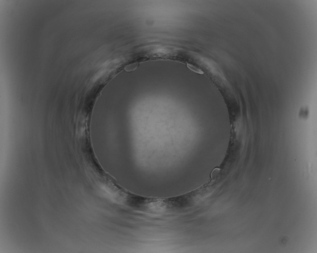 X0000092210423200709281027