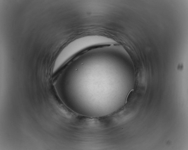 X0000092210424200709281027