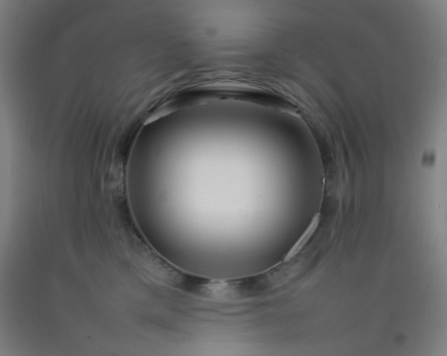 X0000092210425200709281027