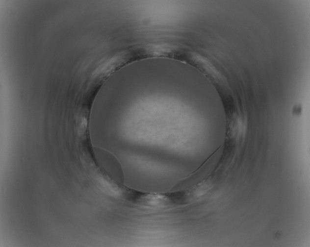 X0000092210427200709281027