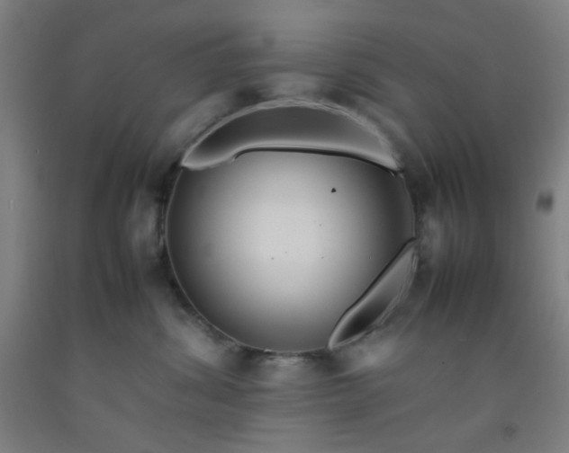 X0000092210428200709281027