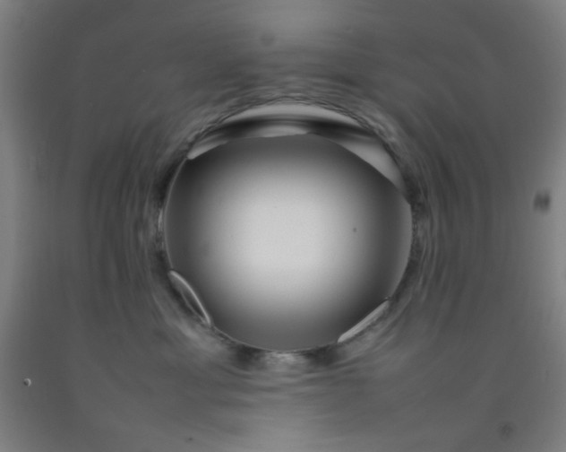 X0000092210429200709281027