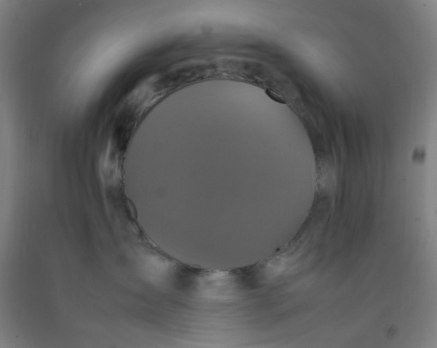 X0000092210431200709281027