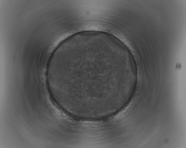 X0000092210434200709281026