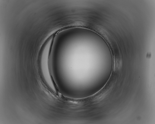 X0000092210435200709281026