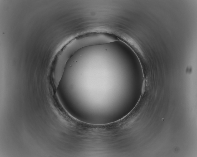 X0000092210436200709281026