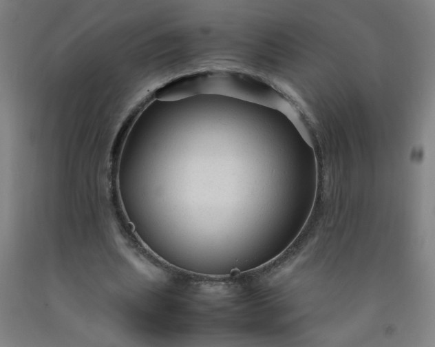 X0000092210439200709281026