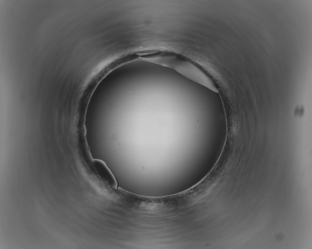 X0000092210440200709281026