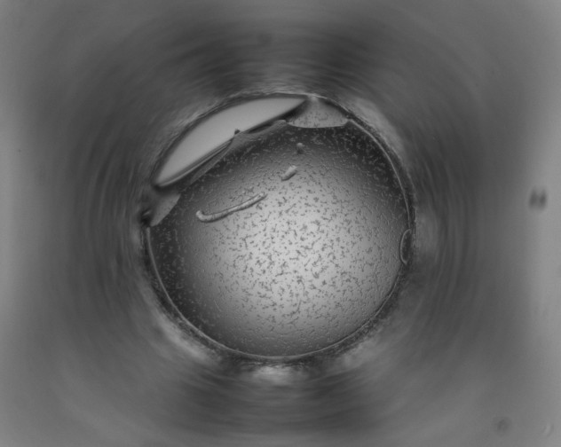 X0000092210441200709281026