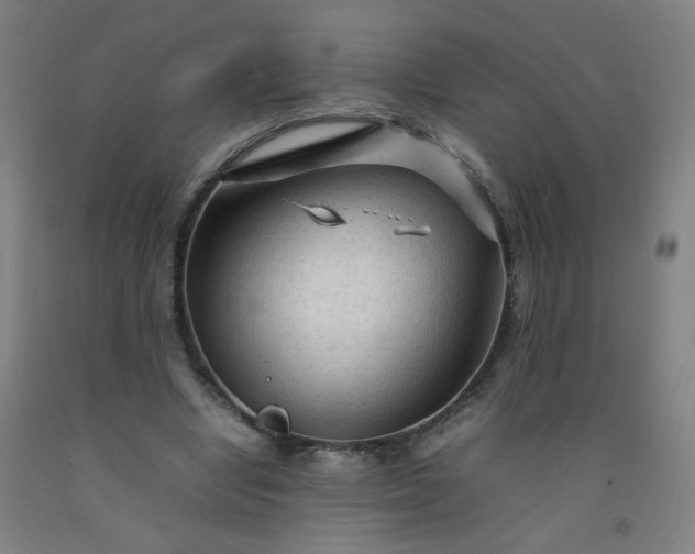 X0000092210442200709281026