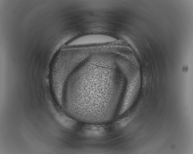 X0000092210443200709281026