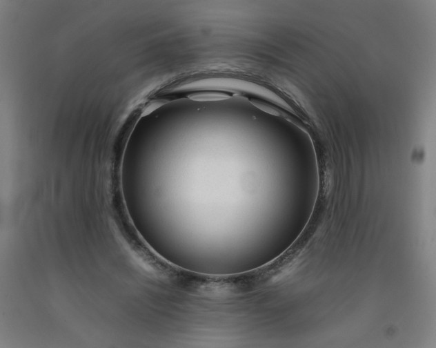 X0000092210444200709281026