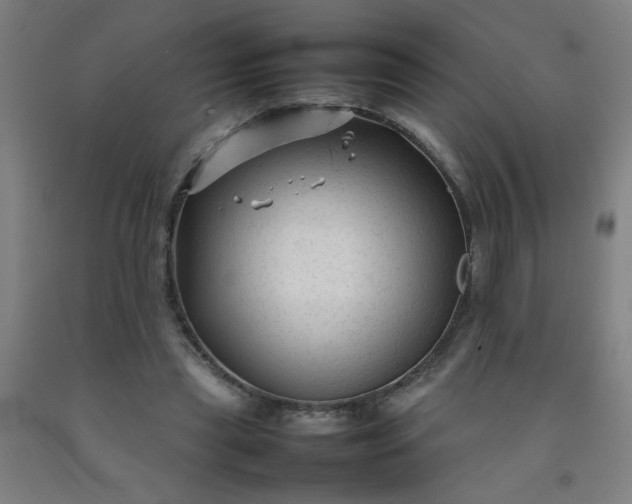 X0000092210445200709281026